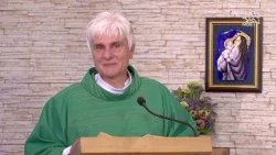 Homilie ze mše svaté 17.7.2026, P. Leoš Ryška SDB