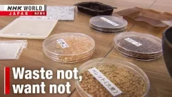 Japanese companies turn to biomaterialsーNHK WORLD-JAPAN NEWS