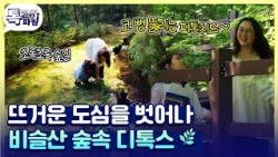 발길 닿는 곳마다 초록 숲길... 🌿 스트레스 로그아웃  비슬산 숲속 디톡스