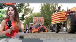 🎉 The San Roque Festivals of Calatayud are now of National Tourist Interest