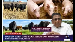 Livestock Sector Leads The Way As Significant Improvement In Agriculture Highlighted