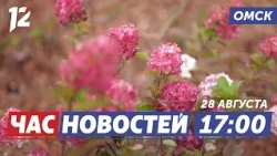 Площадь Бухгольца озеленяют / Учения МЧС / «ПРОдвижение ГЕРОЕВ»: новый путь. Новости Омска