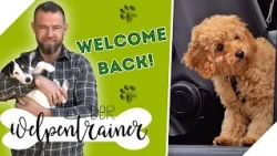 Andrés' new class: These are the puppies! 🥳🐶 | The Puppy Trainer | sixx