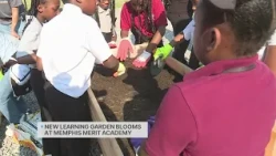 New learning garden blooms at Memphis Merit Academy