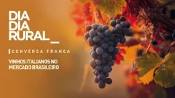 Italian wines in the Brazilian market