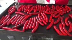 Dexter holds 9th-annual Red Hot Dog Festival