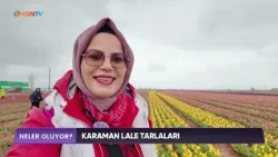 WHAT'S HAPPENING - KARAMAN TULIP FIELDS - APRIL 23, 2026