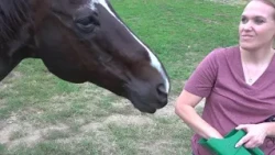 'Miracle' horse survives lightning bolt in Perry County
