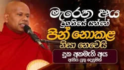 මැරෙන අය දුගතියේ යන්නේ පින් නොකළ නිසා නෙවෙයි.. Ven. Welimada Saddaseela Thero