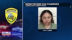 Mom faces charges after driving under influence with infant in car