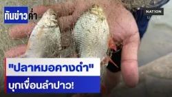 "ปลาหมอคางดำ" บุกเขื่อนลำปาว! เร่งสกัดก่อนแพร่ | เนชั่นทันข่าวค่ำ | NationTV22