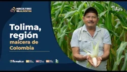 Conoce Tolima, región maicera de Colombia- TvAgro por Juan Gonzalo Angel