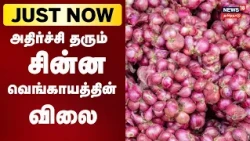 🔷 Shallot prices skyrocket