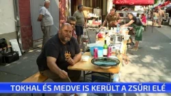 Tokhal és medve is került a zsűri elé