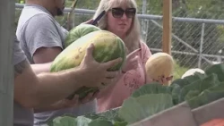 Shoppers turn to local produce amid Cyclospora Outbreak