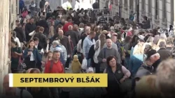 Septembrový blšák