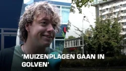 SP vraagt gemeentebestuur om hulp bij aanhoudende muizenplaag in Selwerd