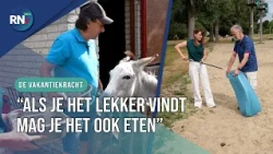 Helping out at Holiday Park 't Broeckhuys || THE VACATION WORKER #02