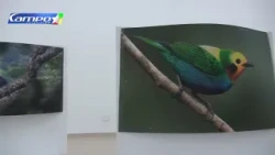 CAJAMAG PHOTO EXHIBITION