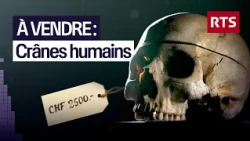 Le business macabre de restes humains | RTS