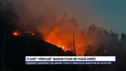 Flakët “përpijnë” masivin pyjor në Fushë-Arrëz