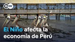 Peruvian wildlife, fishing, and agriculture suffer due to El Niño
