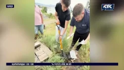 Бұқтырма және Қатон-Қарағайдағы демалыс үйлерінің қожайындарына айыппұл салынды