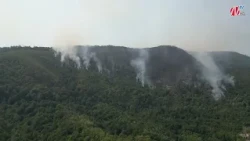 Požar u Gojčinu