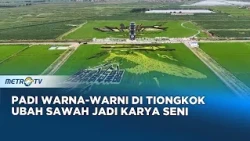 Lahan Gersang Disulap Jadi Destinasi Wisata Unik di Tiongkok