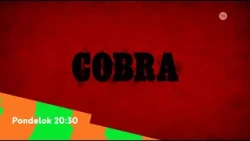 Cobra - v pondelok 5. 10. 2026 o 20:30 na Dajto