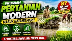 MODERN AGRICULTURE PROGRAM COMES TO BATANGHARI, 87 HECTARES OF RICE FIELDS TARGETED IN INITIAL PHASE