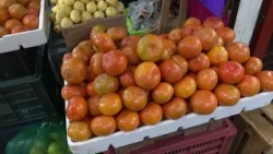 THE COST OF BASIC GOODS WILL INCREASE DURING SEPTEMBER