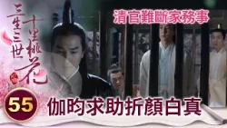 護妹狂魔～青丘唯一的女君哪那麼好追 親哥下場吐槽：她脾氣硬得很【三生三世十里桃花】精華 EP55-7 楊冪、趙又廷、迪麗熱巴、高偉光、張智堯 @ctvdrama_classic