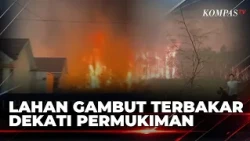 Forest and Land Fires in Palangka Raya and Barito Kuala Approach Residential Areas, Residents Pan...
