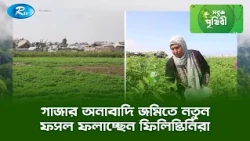 গাজার অনাবাদি জমিতে নতুন ফসল ফলাচ্ছেন ফিলিস্তিনিরা | Sobuj Prithibe | Rtv