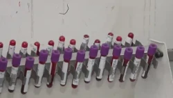 LABORATORY NETWORK ADVANCEMENTS