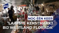 Garden center makes unexpected comeback for Christmas: 'Everything has to go later'
