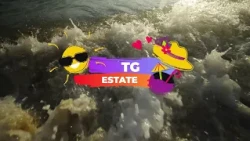 TG Estate del 03/09/2026