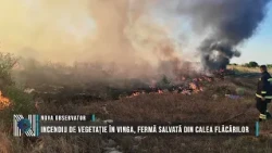Vegetation fire in Vinga, farm saved from the flames