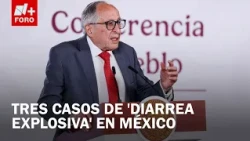 Cyclospora in Mexico: Secretary of Health confirms three cases of 'explosive diarrhea'