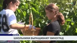 Students Growing Grapes