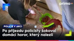 Řev a rány ozývající se ze sousedního bytu | Policie v akci