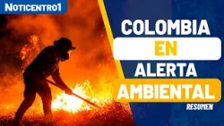 Wildfires devastate Tolima: Animals affected and communities plead for urgent help