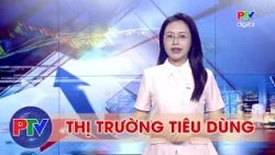 Consumer Market Report for July 24, 2026 | Regional Connectivity Boosts Phu Tho Tourism