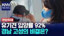 [On-Site] 92% Adoption Rate: What's the Secret Behind the Animal Family Center? / KNN