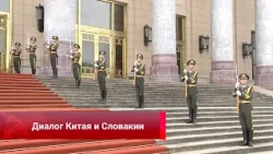 China-Slovakia dialogue, the power of unity, budget growth, robots in action, big cat census