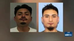 One of two arrested in Holualoa stabbing case released after charges dismissed