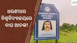 Dharanidhar University: କେନ୍ଦୁଝର ବିଶ୍ୱବିଦ୍ୟାଳୟରେ ବାଘଛୁଆ ଜନ୍ମକୁ ନେଇ ଚର୍ଚ୍ଚା: ସତ ଜାଣିବାକୁ ଲାଗିଲା..