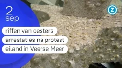 Zeeland Nu, woensdag 2 september 2026