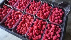 PROMO Satul meu, premieră, duminică, 20 septembrie